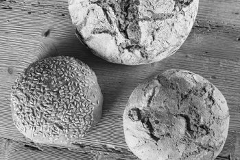 Brot