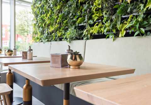 DanielSchvarcz_20180612_437